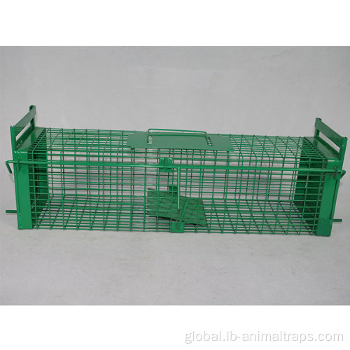 Living Catch Mouse Traps Collapsible Live Animal Cage Trap Supplier